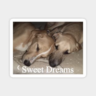 Sweet Dreams - Sleeping Dogs Magnet