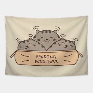 kawaii cute grey cats in box Tapestry