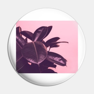 Botanical rose colored glasses Pin