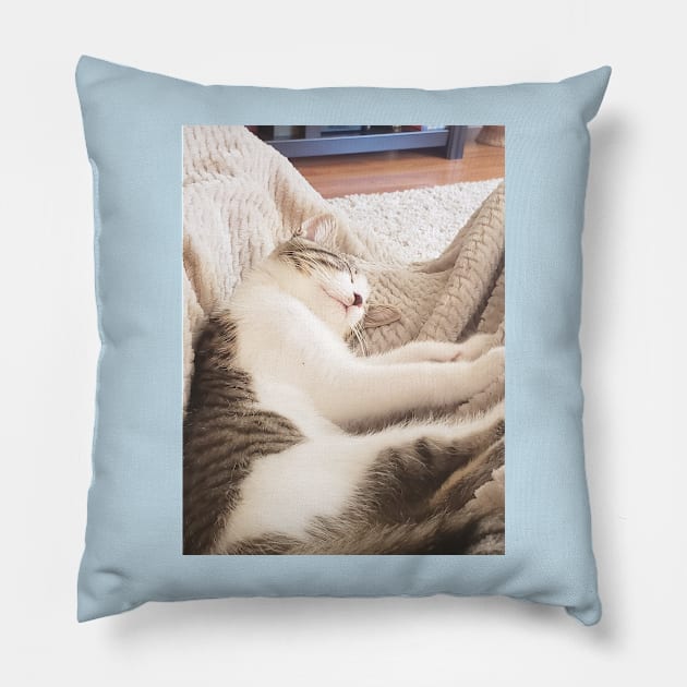 Rossi Pillow by Catlover22