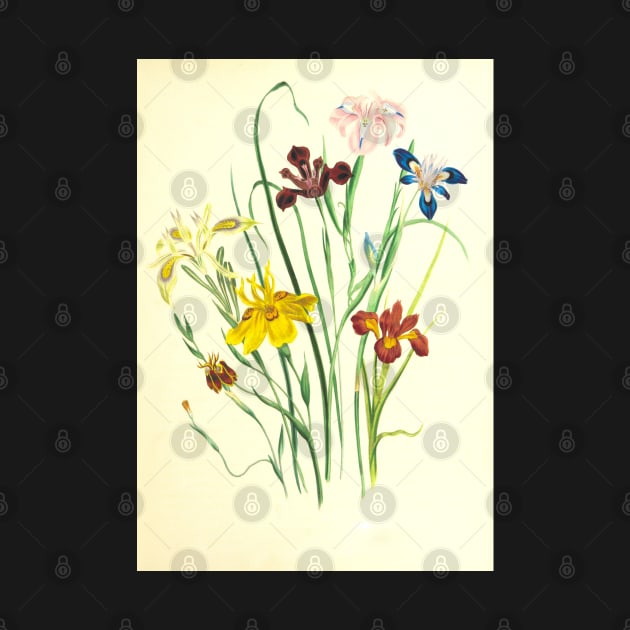 Wildflowers - Nature Inspired by JDVNart