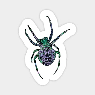 Zombie Spider Fierce Orb-Weaver Green Purple Magnet