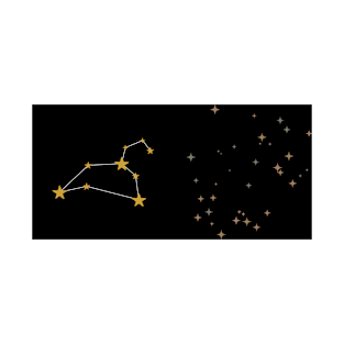 Leo Zodiac Sign Constellation T-Shirt