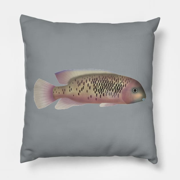 Sarabia Cichlid Pillow by FishFolkArt