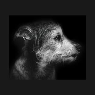 dog, terrier, black and white - roger T-Shirt