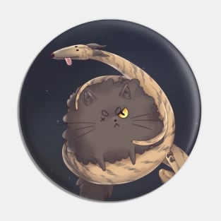 Very long dog and very fluffy cat Pin