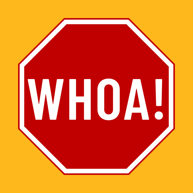 WHOA! Stop Sign by Hector Navarro