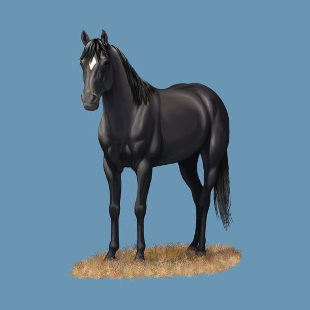 Beautiful Black Quarter Horse Stallion by csforest