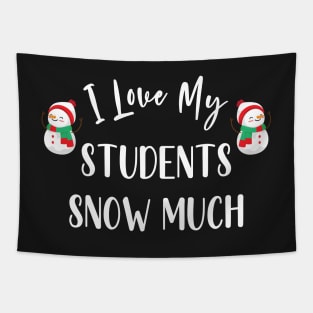 I Love My Students Snow Much / Funny Christmas Teacher Education Quote Tapestry