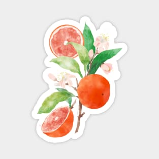 Oranges and Blossoms Botanical Watercolor Magnet