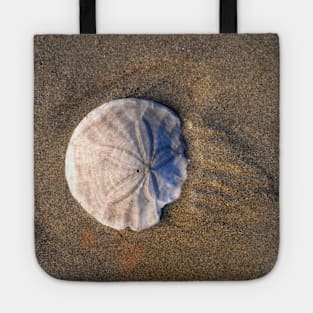 Sand Dollar in the Sand Tote