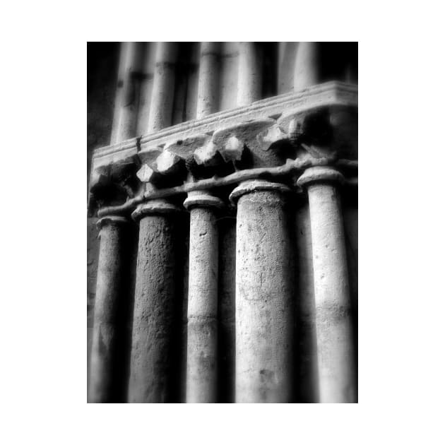 Columns on a French Church by rosedew
