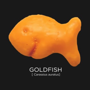 Scientific Goldfish With Hood T-Shirt