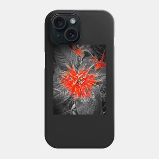 Monarda Bee Balm Flower Phone Case