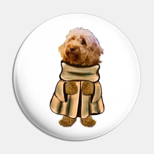 Cavapoo Cavoodle puppy in a cape - cute cavalier king charles spaniel Pin