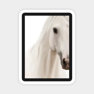 White Horse Magnet