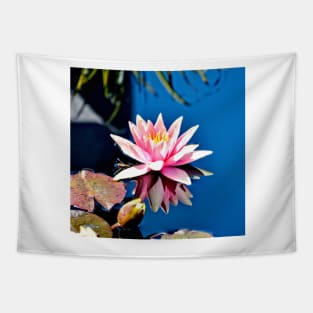 Pink Water Lily in Pool Tapestry