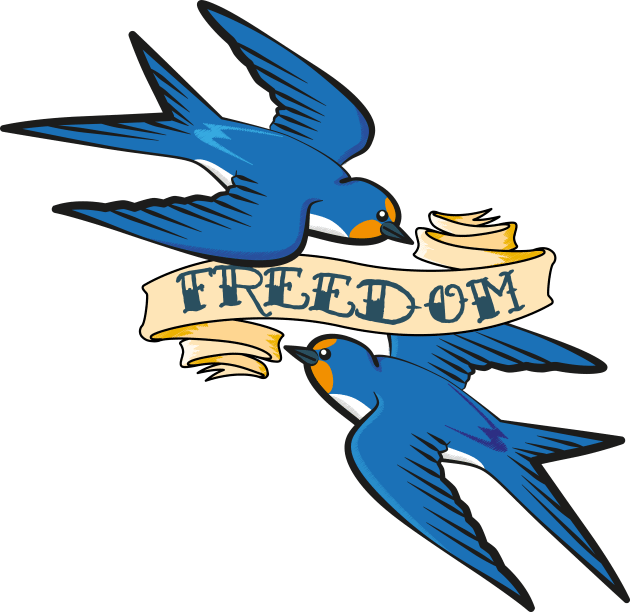 Freedom Swallows Kids T-Shirt by Maxsomma