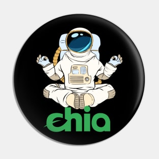 Chia Network Coin Crypto coin Crypto coin Crytopcurrency Pin