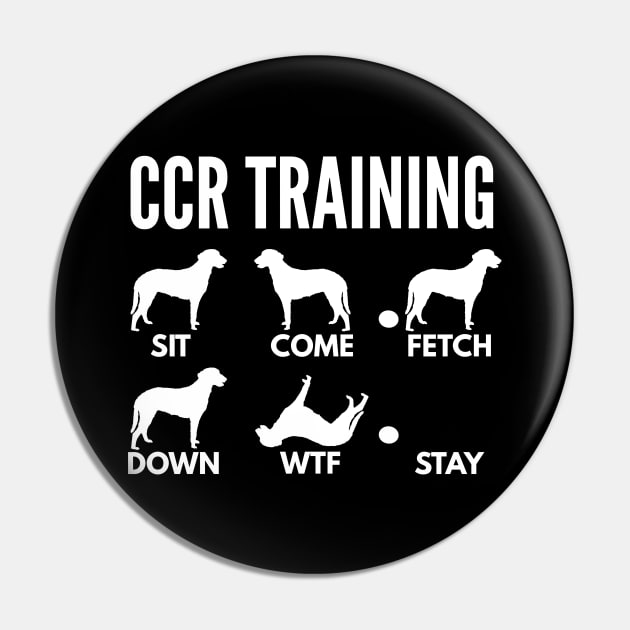 CCR Training Curly Coated Retriever Tricks Slim Pin by DoggyStyles