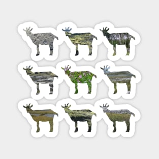 Ode to the Burren goats Magnet