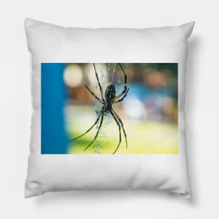 Argiope aurantia Pillow