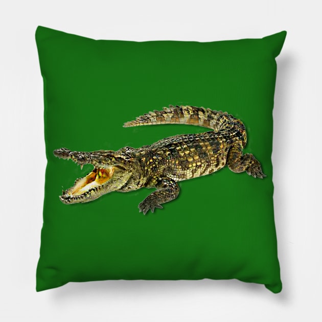 Small crocodile Pillow by antaris