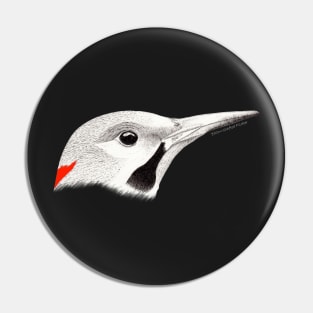 Northern Flicker (Colaptes auratus) - black Pin