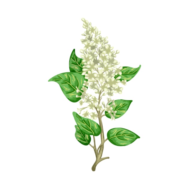 White Lilac Botancial by Salfiart