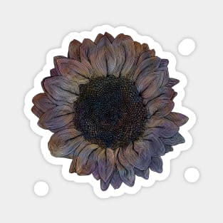 Linework Pastel Sunflower Drawing Magnet