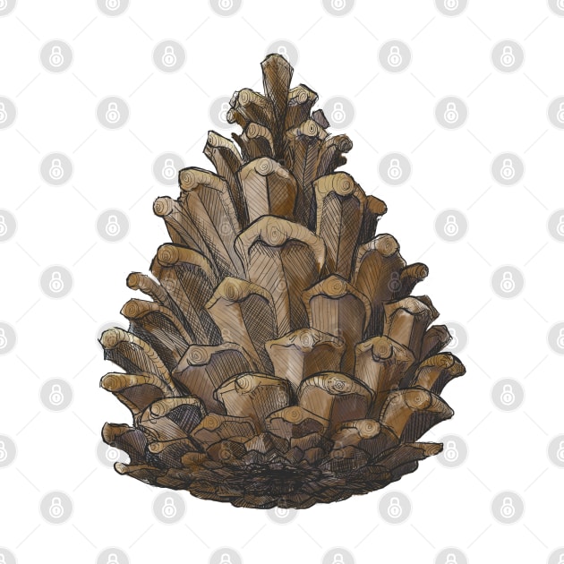 Pinecone by Haptica