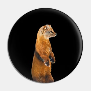 Marten - Woodland Themed Kids Room, Funny Gifts For Forester, Cute Anima Pin