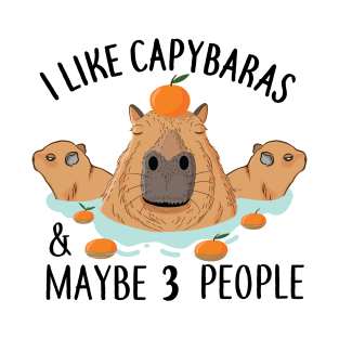 I like Capybaras and maybe 3 people Funny Baby Capybara T-Shirt