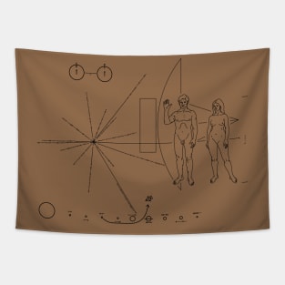 Nasa Pioneer Space Craft Plaque Alien Message Tapestry