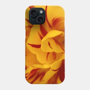 In the Heart of an Elegant Red Gold Monsella Tulip Phone Case