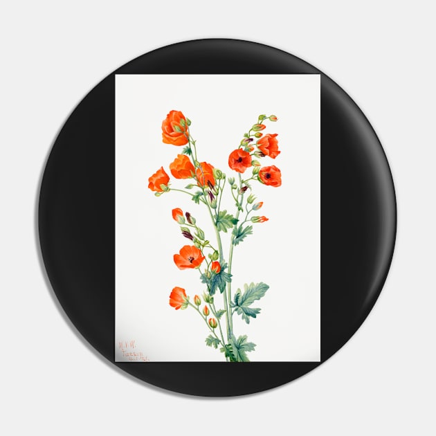 flowers painting, Scarlet Globe Mallow (1927) by Mary Vaux Walcott Pin by T-SHIRT-2020