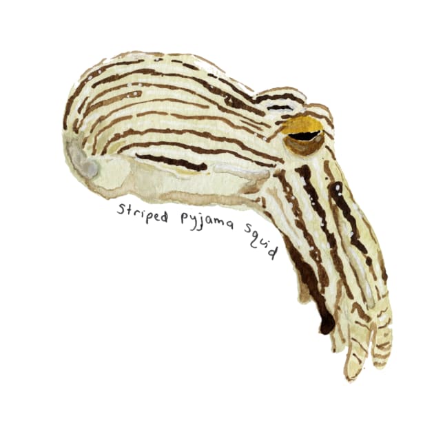 Striped Pyjama Squid Watercolor Painting | Weird Animal by gloobella