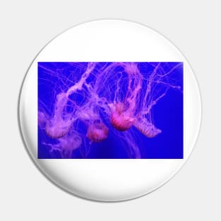 Jellyfish Pin