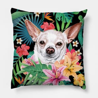 Tropical Short Haired White Chihuahua 2 Pillow