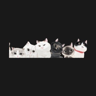 Cat Kitten T-Shirt