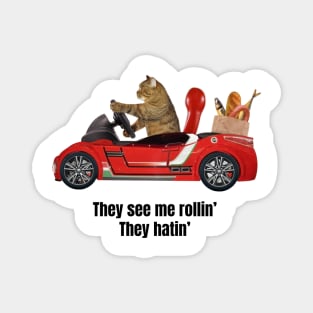 They see me rollin' they hatin' cat in a car Magnet