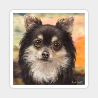 Cute Furry Brown and White Chihuahua on Orange Background Magnet