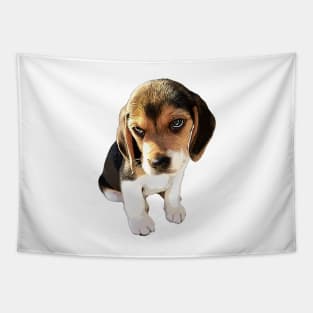 Beagle Dog Cute Puppy Eyes Tapestry