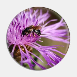 Bee Harvests Purple Flower Pin