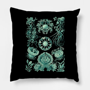 Ernst Haeckel Ascomycetes Mold Pillow