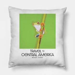 Travel to Central America Book Today Pillow