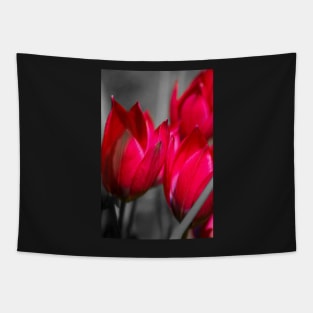 Vibrant tulips Tapestry