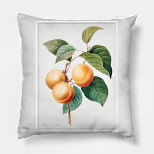 Peaches Pillow