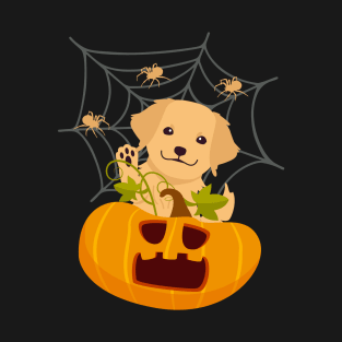 Golden Retriever Puppy in Spooky Halloween Pumpkin and Spider Web T-Shirt