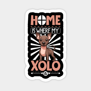 Home is with my Xoloitzcuintle Magnet